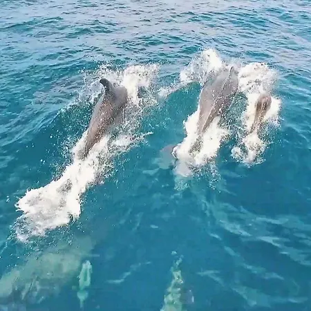 Townhouse Varadero By Algarve Vacation Casa vacanze *